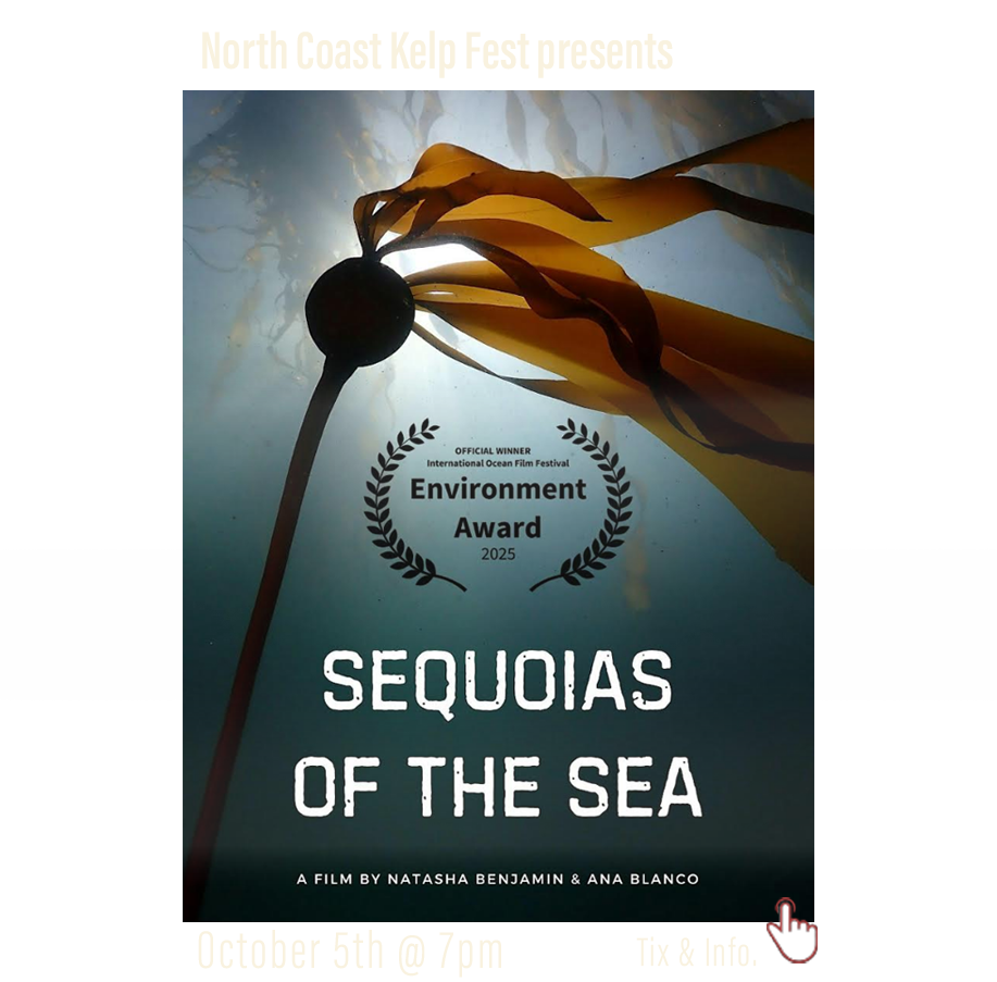 special film